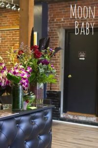 things to do in salem ma, business spotlight, moon baby