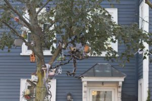 things to do in salem ma, halloween in salem ma, october in salem ma