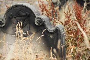 things to do in salem ma, creepy gift giving guide salem ma