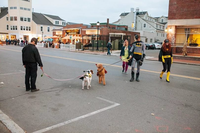 Pet friendly Salem, MA Things To Do In Salem