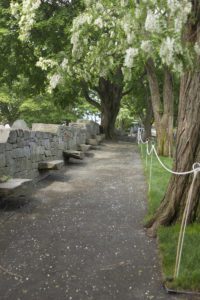 things to do in salem, old burying point and witch trials memorial salem ma