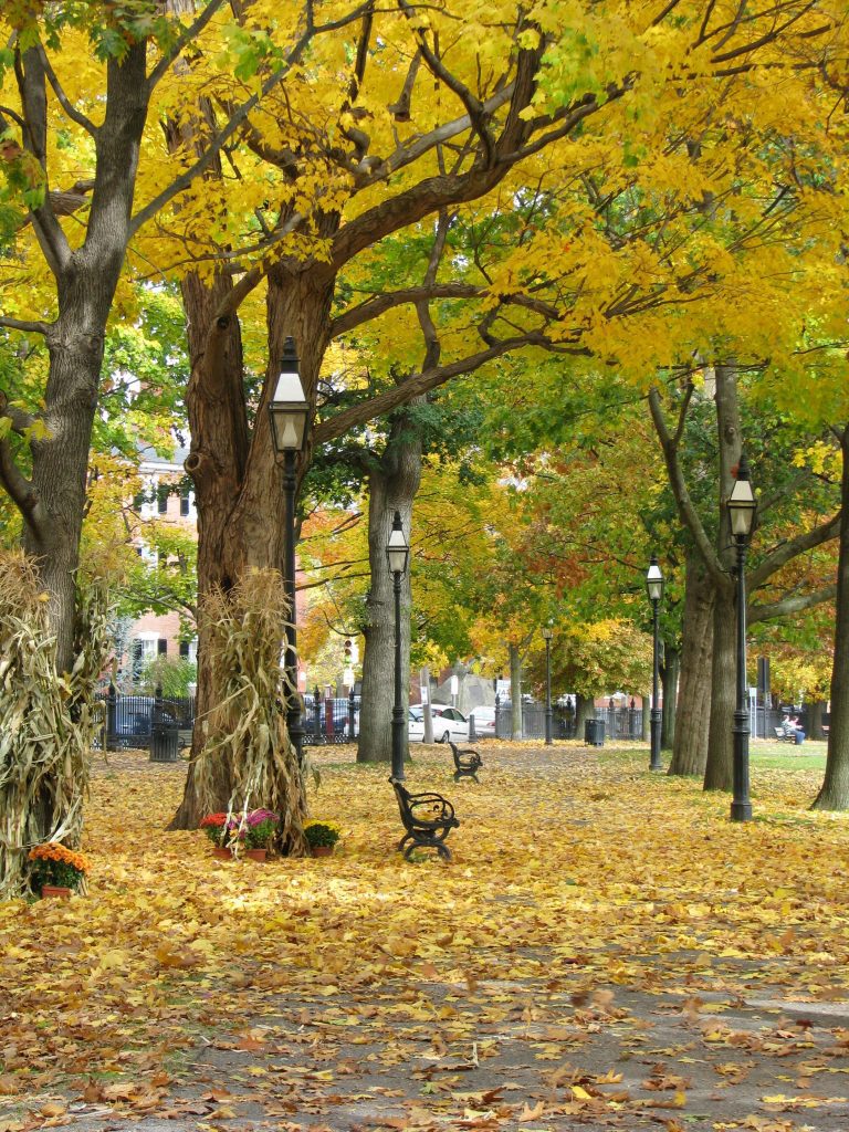 Salem, MA in one day » Things To Do In Salem