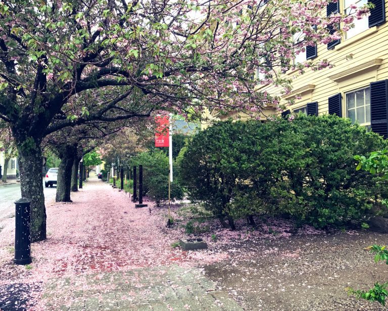 Parking in Salem, MA Five quick tips if you're taking the car