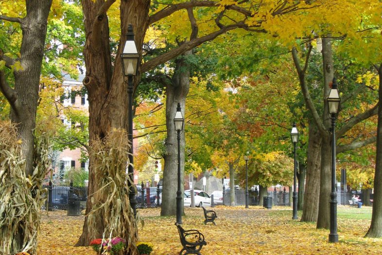 things to do in salem, free family movies on the salem common salem ma october 2022
